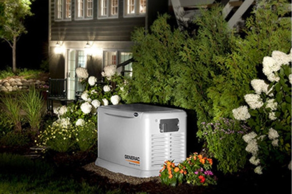 generac standby generator with plants around