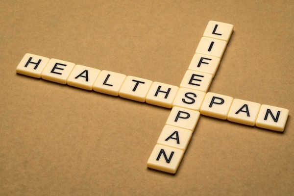 Lifespan and healthspan crossword in ivory letter tiles depicting boiler