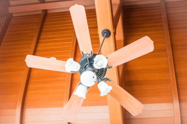 ceiling fan with glass lamps